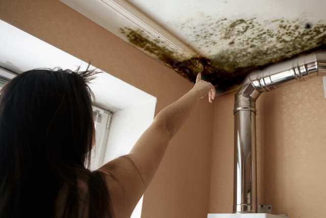 Mold Removal: The Facts! - Ever wondered what happens during mold removal? In our previous article we explained what happens during a mold inspection. In this article we explain why you should always hire a professionally trained mold remediation specialist. Always get YES answers to these 10 questions before you hire the contractor. In addition to listing these questions, this article lists and explains the 8 step process that professional mold remediators implement.