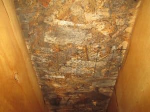 Water Damage Restoration