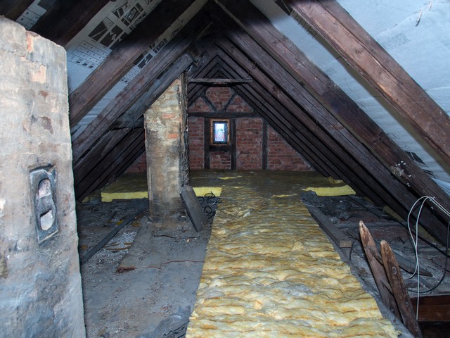 Top 7 Places You Will Find Mold In Your Home!