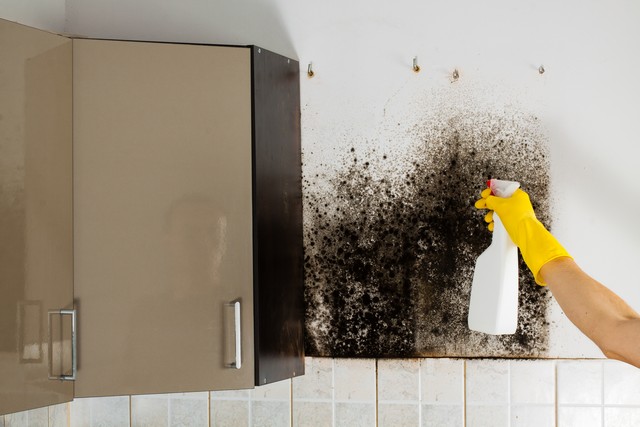 DO NOT Take These 5 Actions If You Find Mold!
