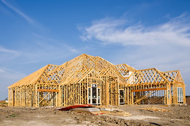 New Homes Have Mold!