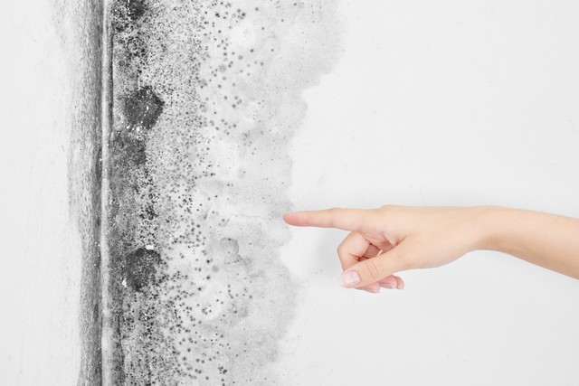 Mold Exposure Symptoms