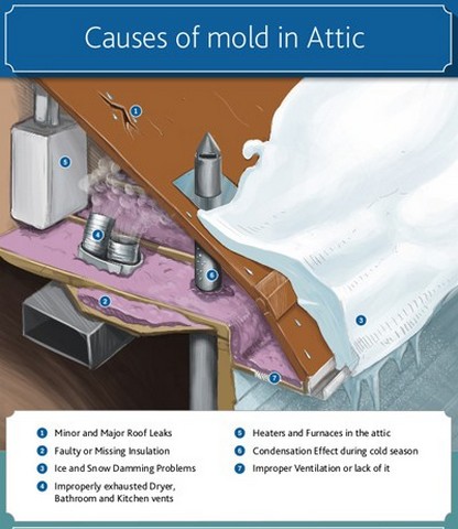 Top 4 Causes Of Attic Mold Growth!