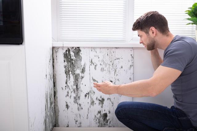 Mold Reduces The Value Of Your Property!