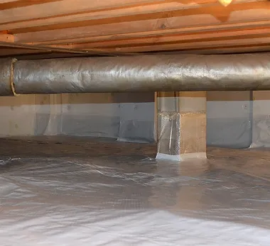 crawlspace cleanup