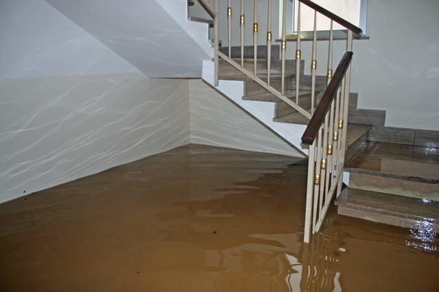 water damage company near me
