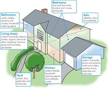 What Should I Do To Improve Indoor Air Quality