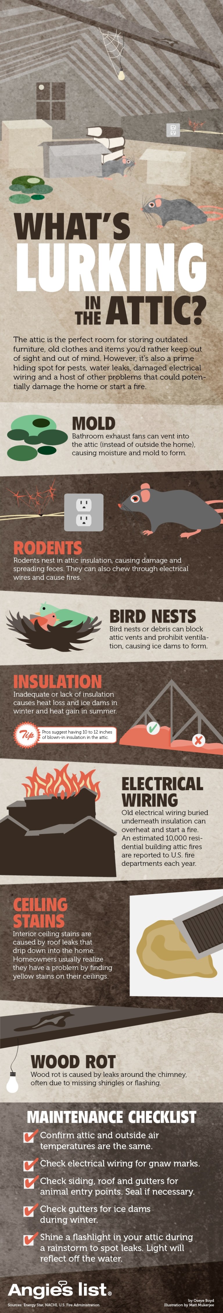 What's Lurking In Your Attic Infographic