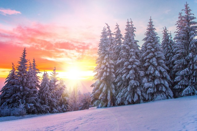 Winter Tips To Prevent Mold - As the temperature gets colder, we all tend to stay indoors more. Mold is not just a concern in the summer when heat and humidity are at their peak. The main purpose of this article is to list and explain 7 key mold facts and provide you with 25 tips to prevent mold in your home during the winter!