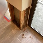 basement flooding cleanup hopewell junction ny