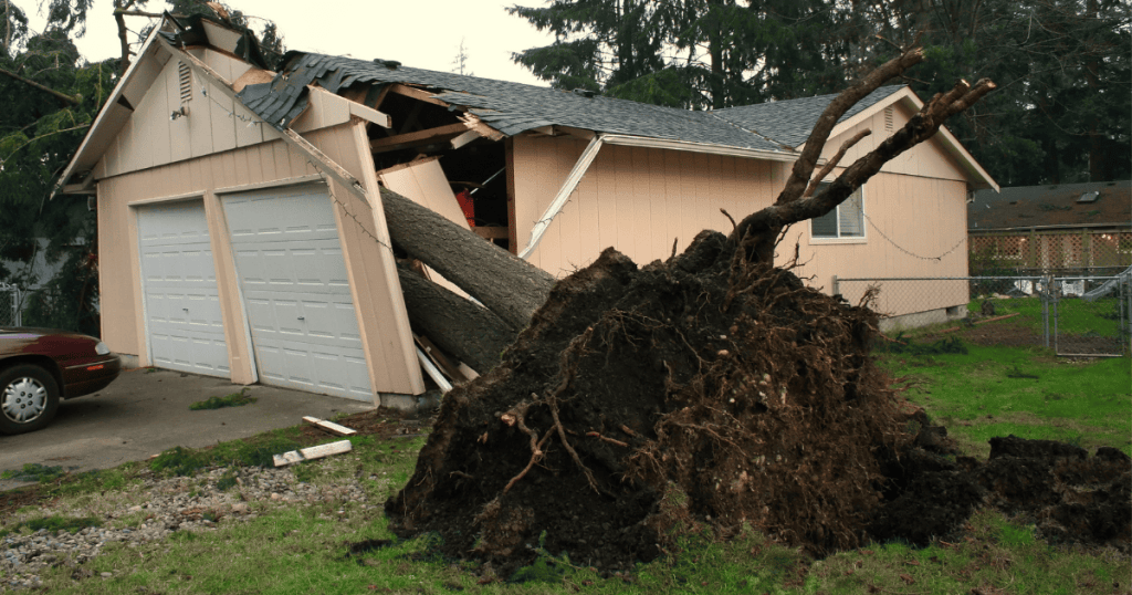 commercial restoration services