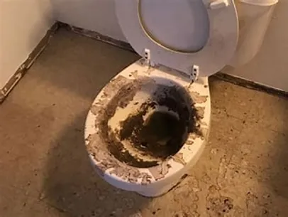 water damaged toilet