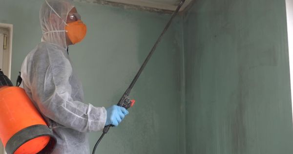 professional mold removal equipment