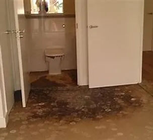 sewage toilet