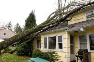 storm damage cleanup Hudson Valley NY