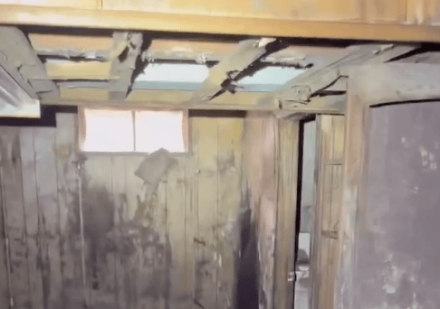 water damage and mold removal