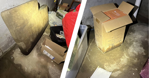 water damage in basement