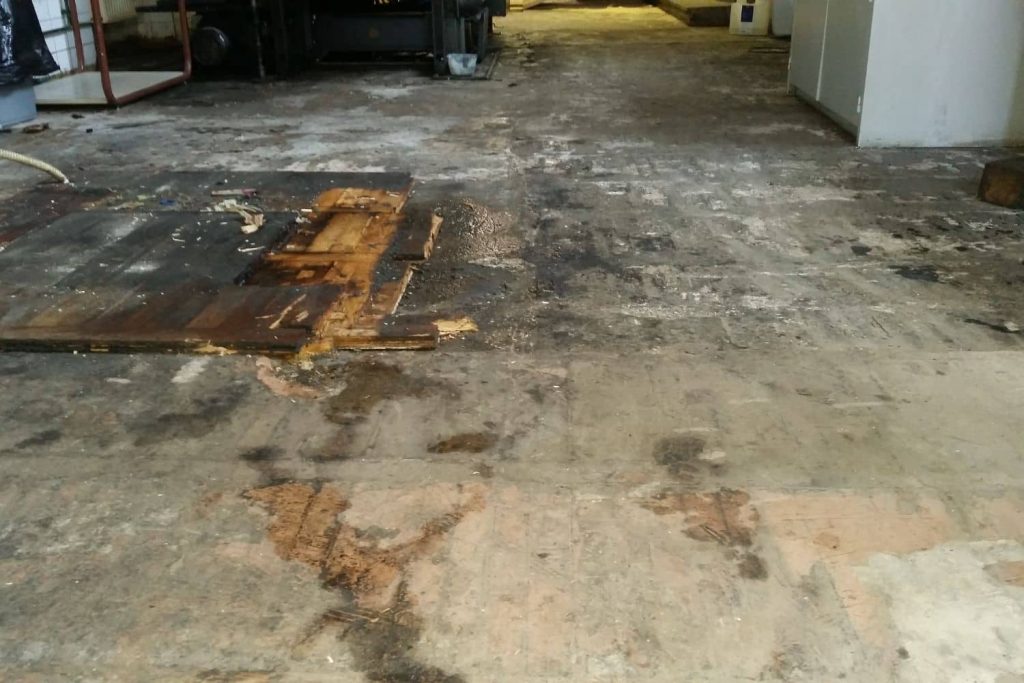 wood floor water damage